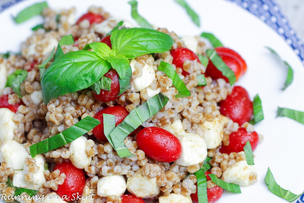 Caprese Wheat Berry Salad recipe