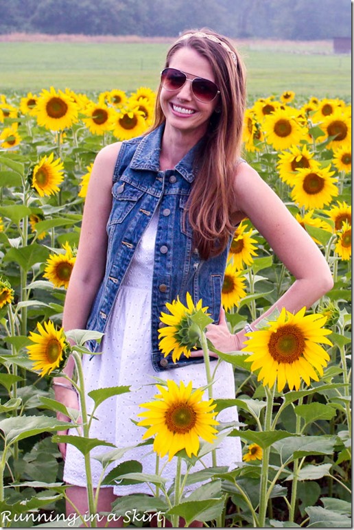 Biltmore Estate Sunflowers