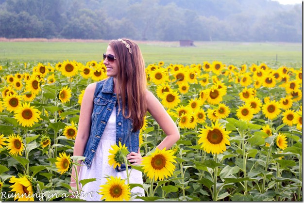 Biltmore Estate Sunflowers