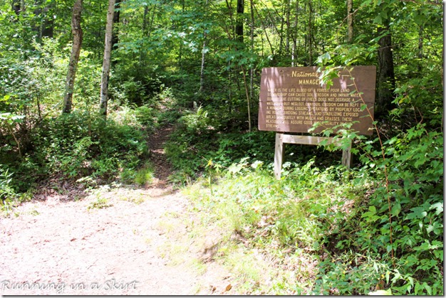 pisgah forest waterfalls log hollow falls entrace