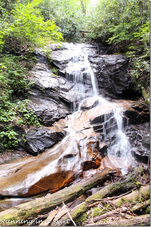pisgah forest waterfalls log hollow falls