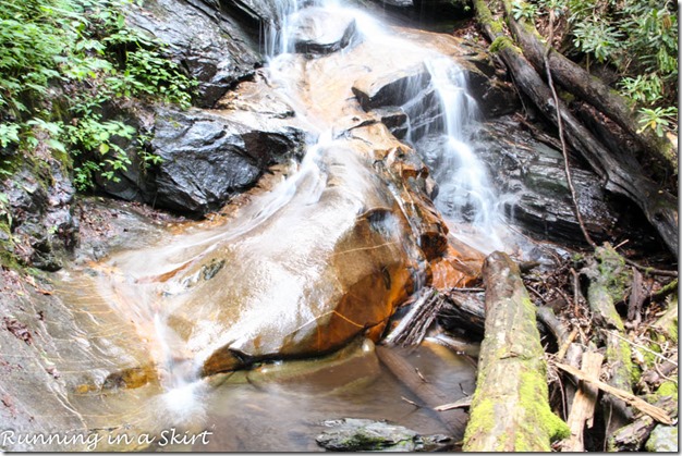 pisgah forest waterfalls log hollow falls
