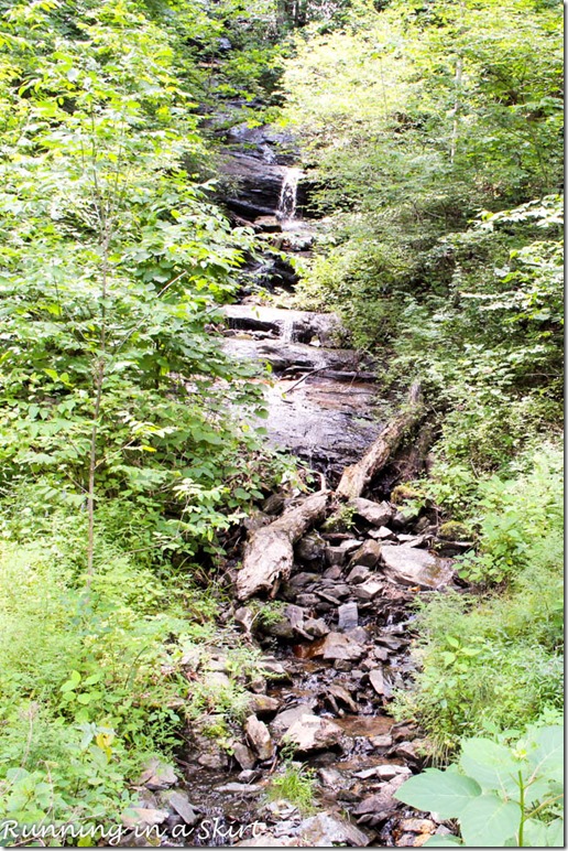 pisgah forest waterfalls log hollow falls