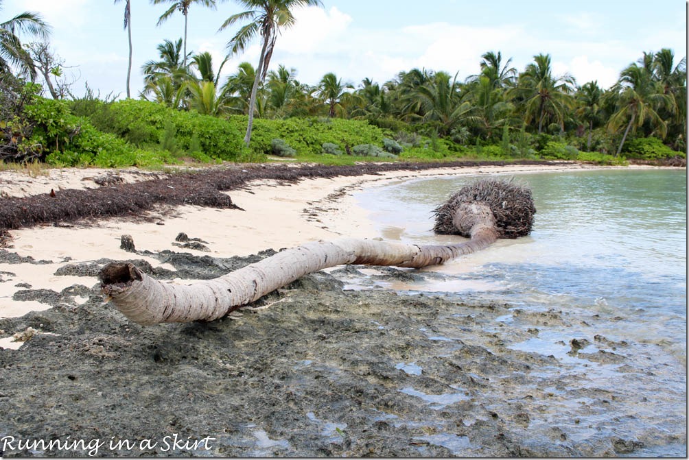 Elbow Cay Bahamas Tahiti Beach