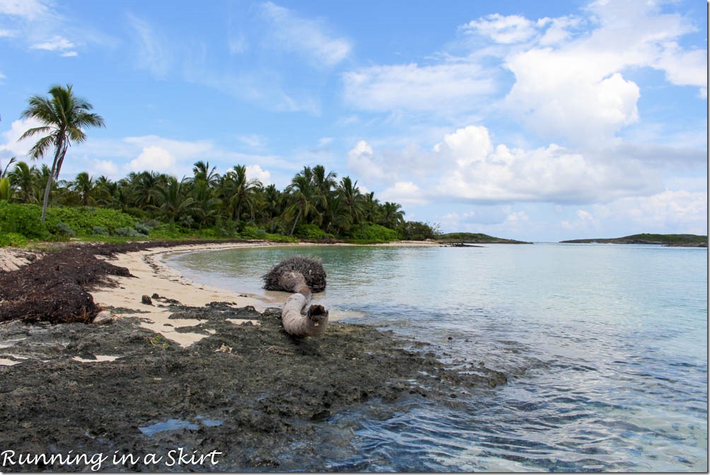 Tahiti Beach, Elbow Cay, Hope Town