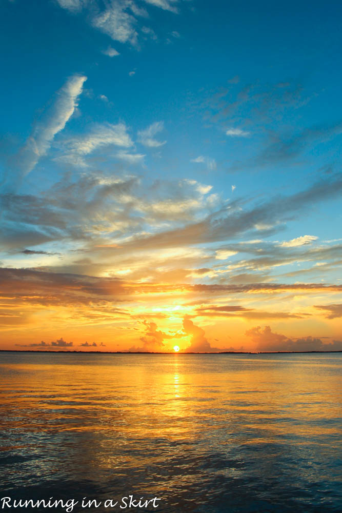 Bahamas, Elbow Cay, August 2015-582-24