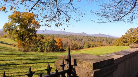 Biltmore Estate Gardens Fall - See gorgeous mums and stunning fall leaves!/ Running in a Skirt