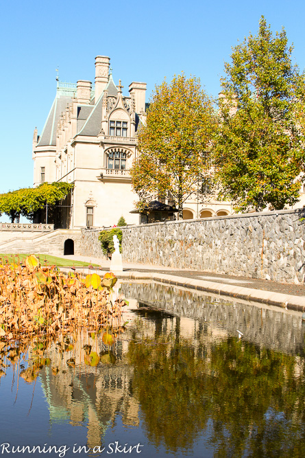 Biltmore Estate Gardens Fall - See gorgeous mums and stunning fall leaves!/ Running in a Skirt
