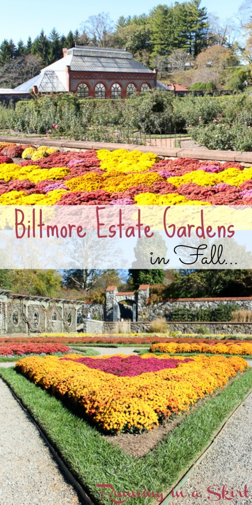 Biltmore Estate Gardens Fall - See gorgeous mums and stunning fall leaves!/ Running in a Skirt