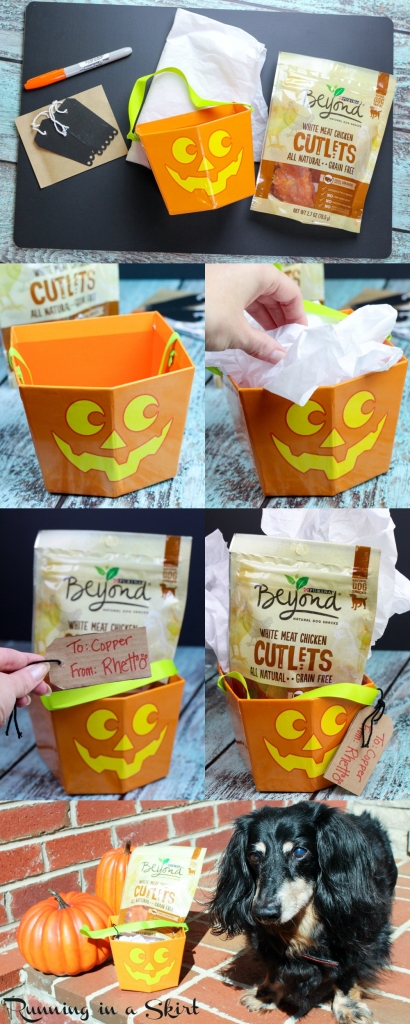 Dog Trick or Treating with Purina Beyond