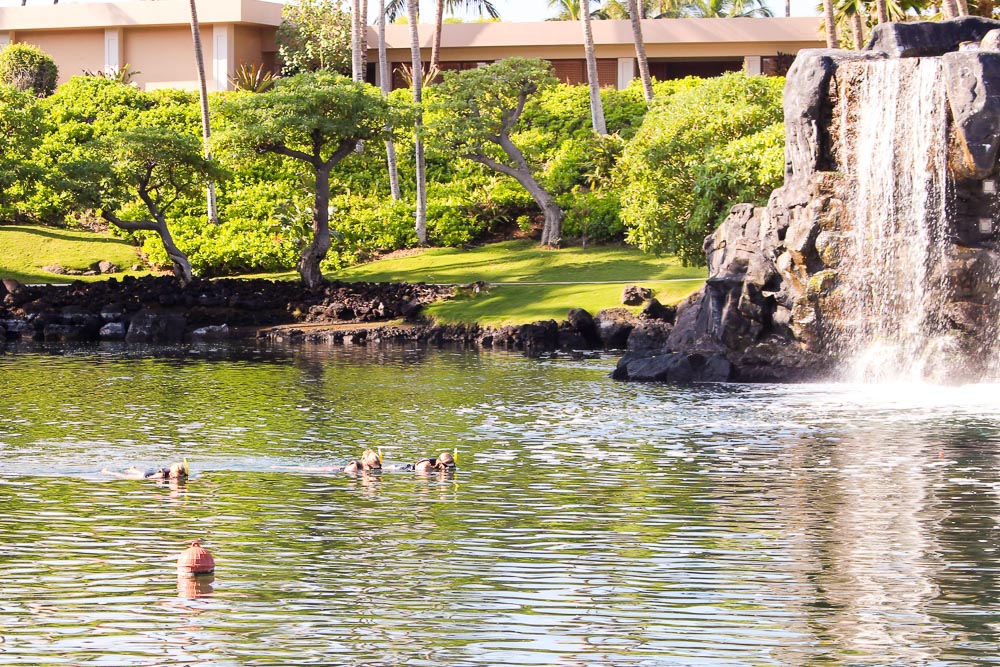 Top 10 Experiences at Hilton Waikoloa Village / The best list of what to do at this SPECTACULAR Big Island, Hawaii mega-resort. Bucket List! / Running in a Skirt (Hilton Waikoloa Village Review)