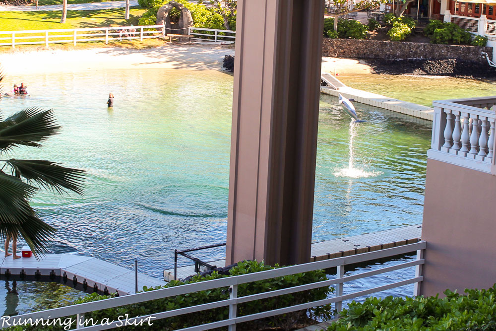 Top 10 Experiences at Hilton Waikoloa Village / The best list of what to do at this SPECTACULAR Big Island, Hawaii mega-resort. Bucket List! / Running in a Skirt (Hilton Waikoloa Village Review)