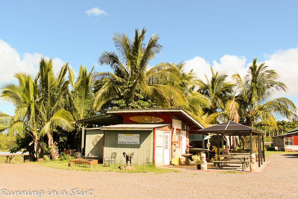 Surfing Goat Farm on Maui / Running in a Skirt