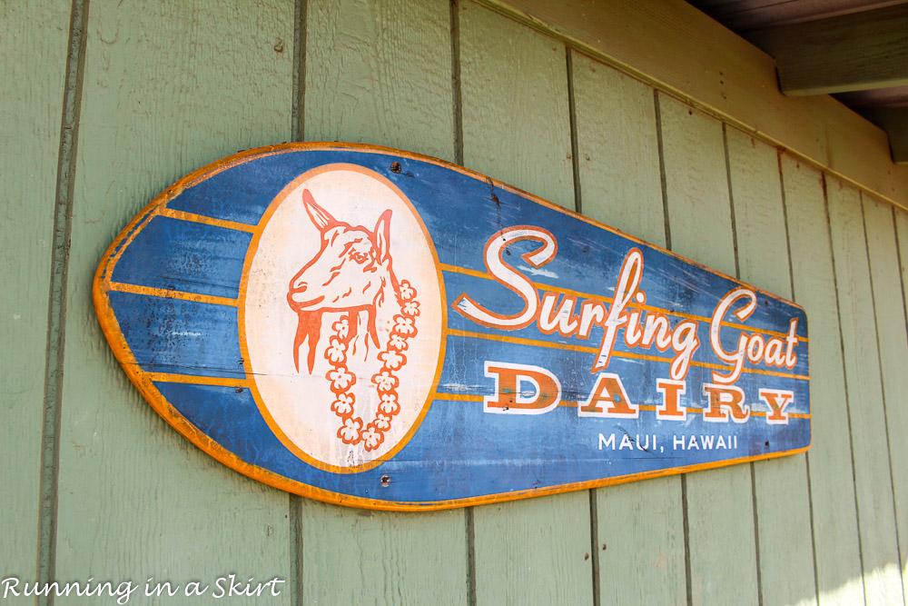Surfing Goat Farm on Maui / Running in a Skirt