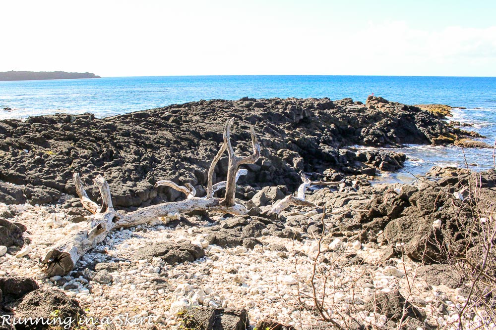 Best Maui Hikes - past La Perouse Bay hike to black, white and green sand beach called Keawanaku./ Running in a Skirt