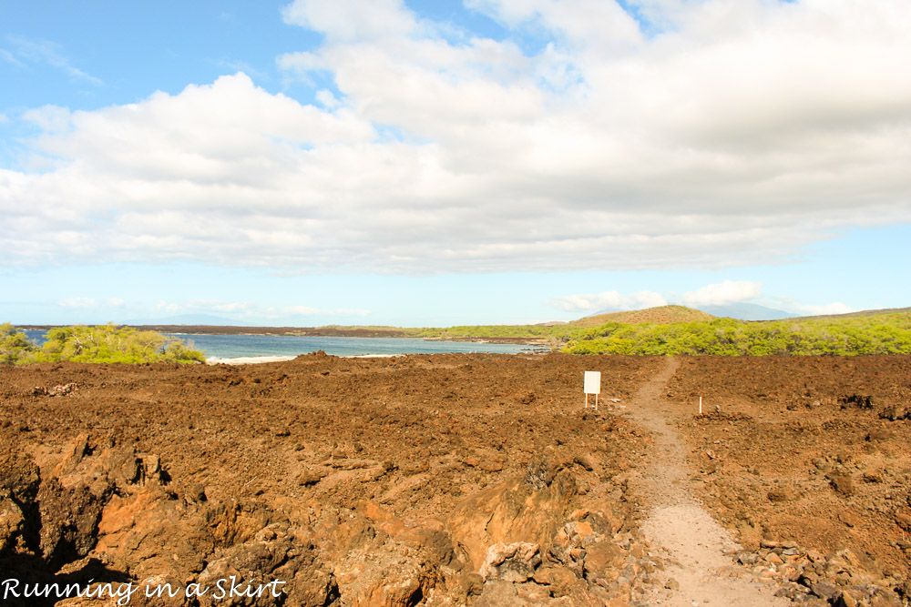 Best Maui Hikes - past La Perouse Bay hike to black, white and green sand beach called Keawanaku./ Running in a Skirt