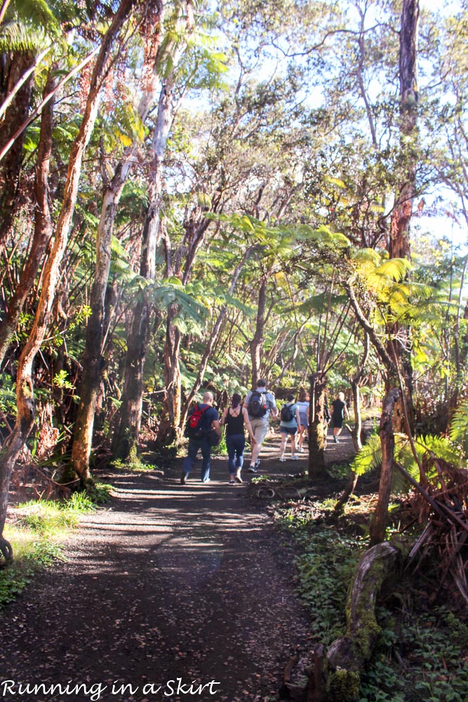 Hawaiian Volcanoes National Park Tips-12