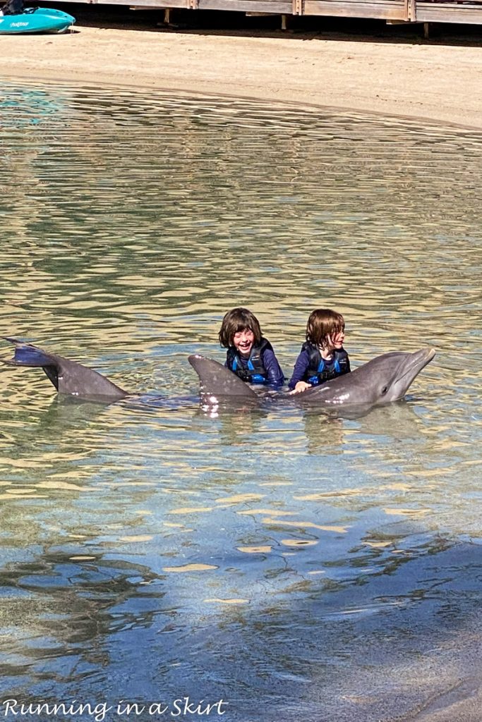 Hilton Waikoloa Village Review