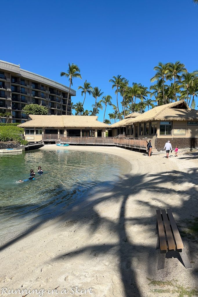 Hilton Waikoloa Village Review Dolphin Quest