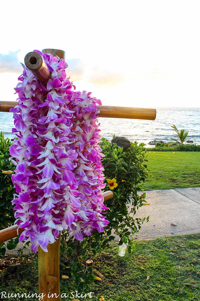 10 Ways to Stay and Explore Wailea on a Budget-2