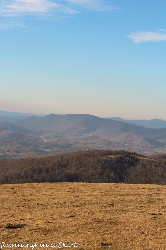 Bearwallow Mountain-184-28