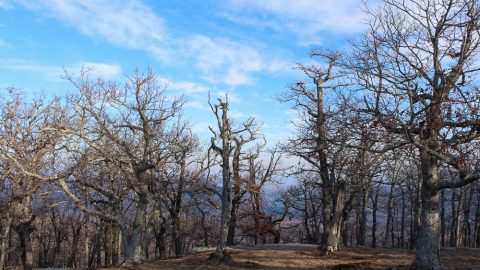 5 Reasons Why You Should Hike in Winter