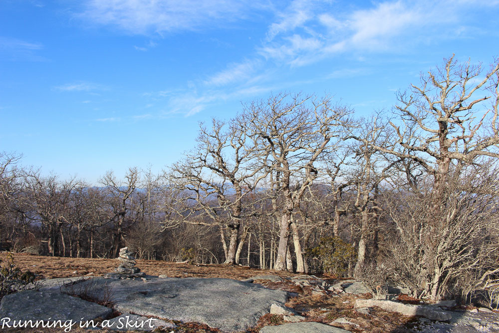 Bearwallow Mountain-193-32