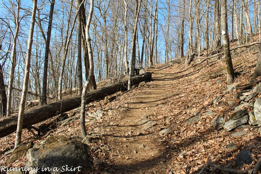 Trail to get to Bearwallow Mountain near Asheville.