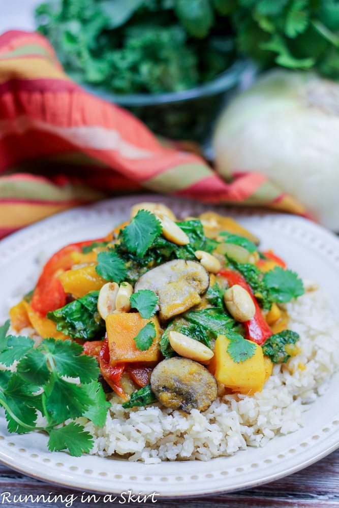 Vegetarian Crock Pot Red Curry