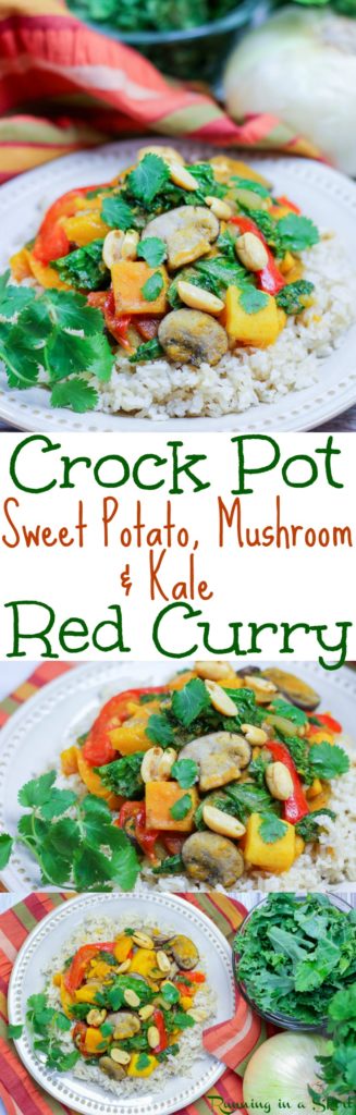 Vegetarian Crock Pot Red Curry