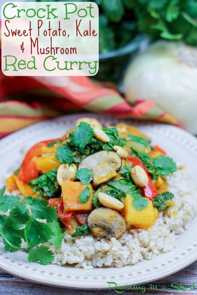 Vegetarian Crock Pot Red Curry