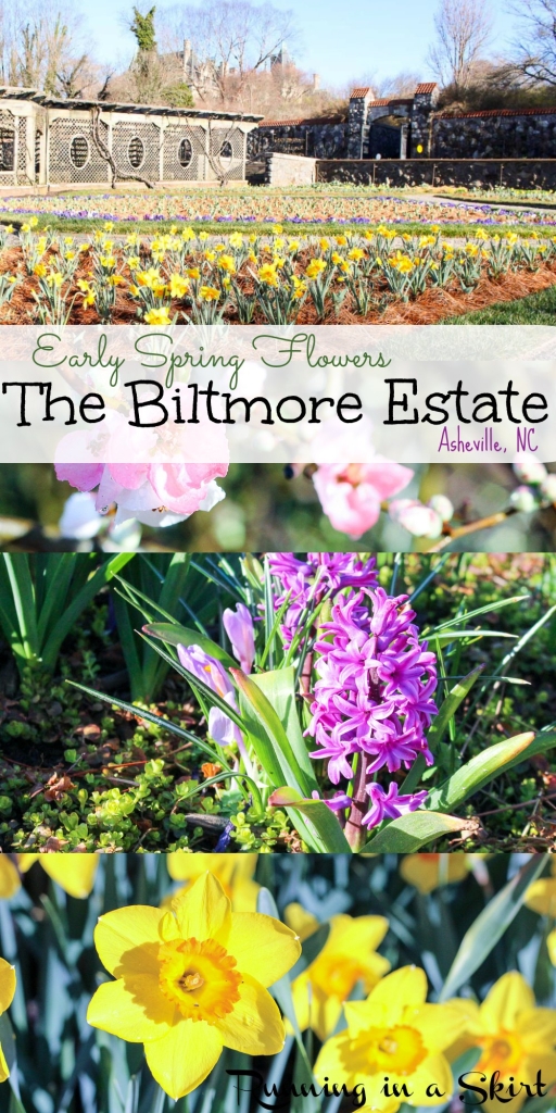 Early Spring Flowers Biltmore Blooms - Biltmore Estate