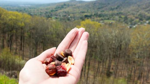 CVS Gold Emblem Abound Snacks for Hiking