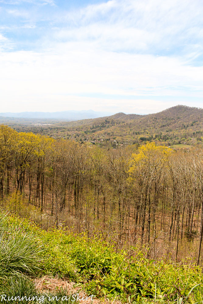 CVS Gold Emblem Abound Snacks for Hiking