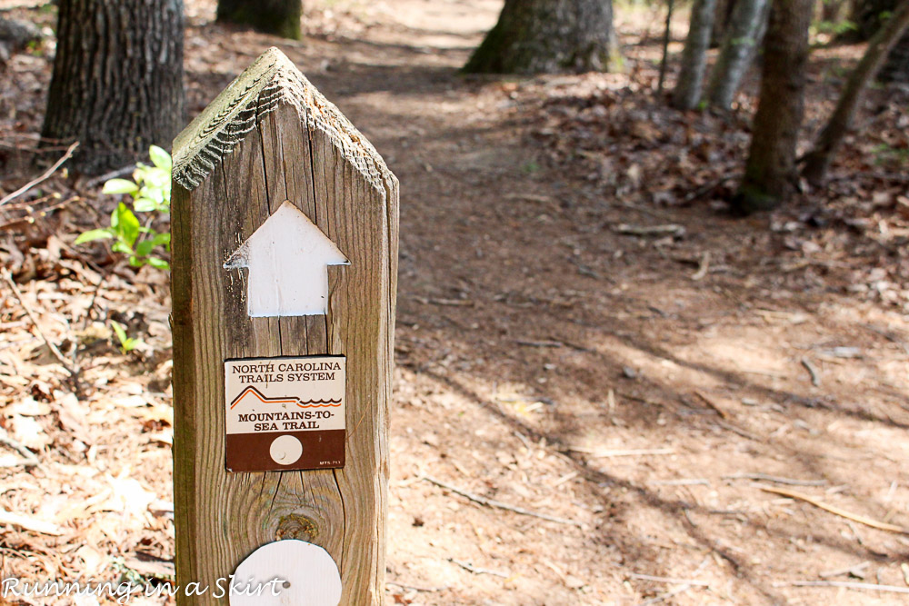 Mountain to Sea Hiking Trail