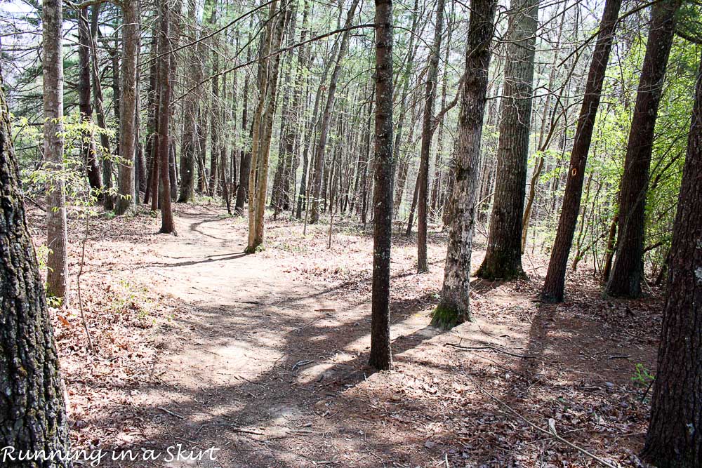 CVS Gold Emblem Abound Snacks for Hiking