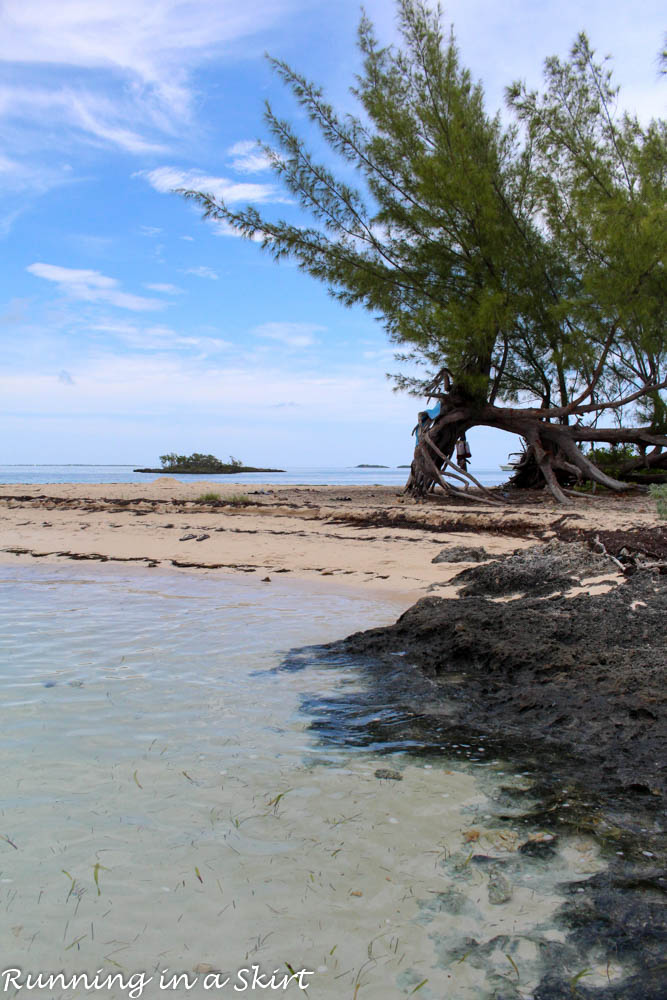 Bahamas, Elbow Cay, August 2015-500-18