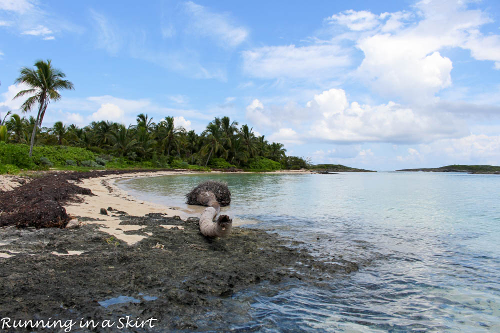 Bahamas, Elbow Cay, August 2015-506-21