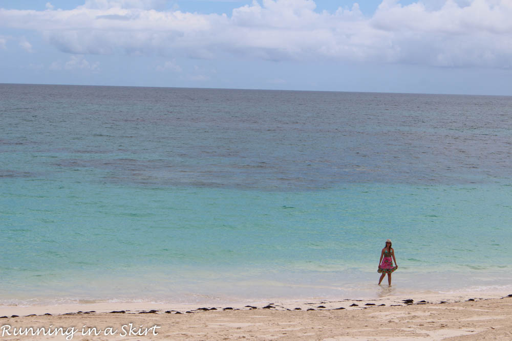 Bahamas, Elbow Cay, August 2015-689-33