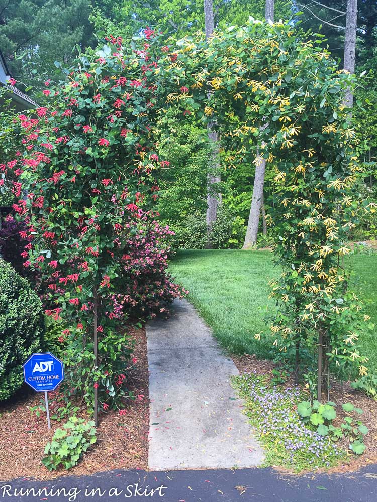 Flower Arch