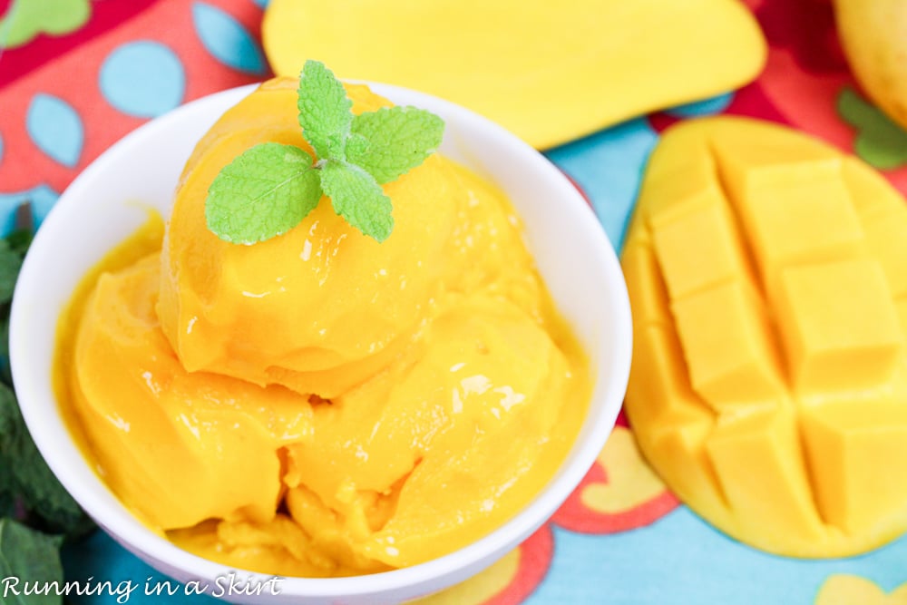 KitchenAid Ice Cream Maker & Tropical Fruit Sorbet Recipe