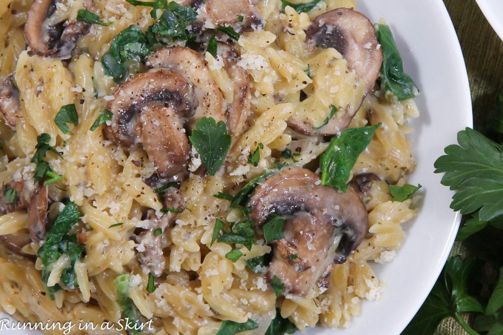 Mushroom Orzo Pasta overhead shot.