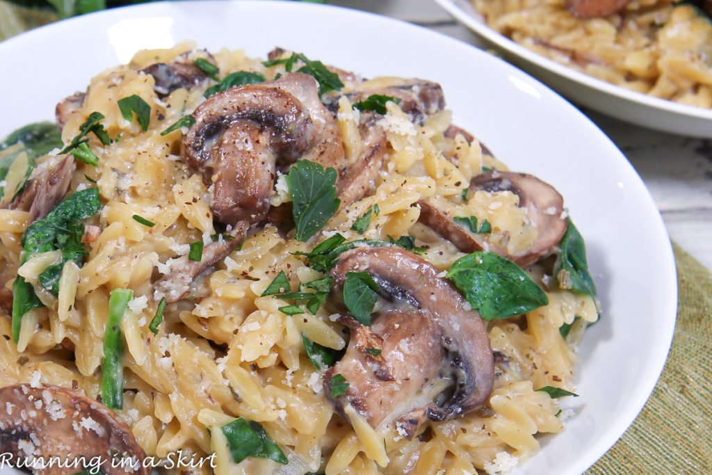 Mushroom Orzo Pasta on a plate.