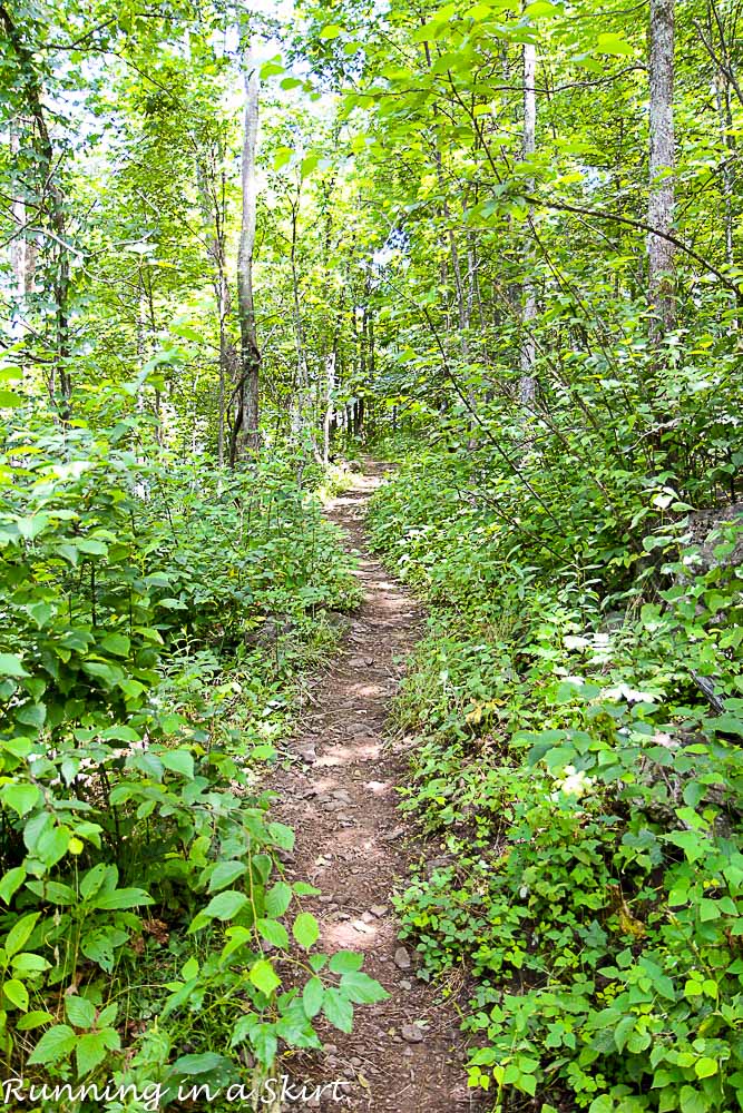 Bearwallow Mountain Summer Hike- Western North Carolina Hiking