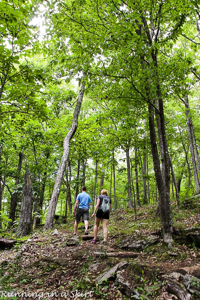 Bearwallow Mountain Summer Hike- Western North Carolina Hiking