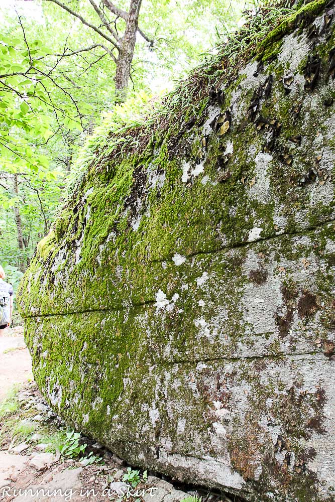 Bearwallow Mountain Summer Hike- Western North Carolina Hiking