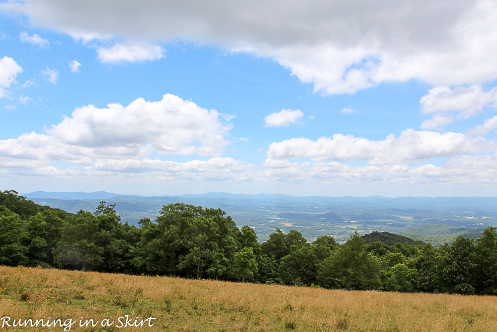 Bearwallow Mountain Summer Hike- Western North Carolina Hiking