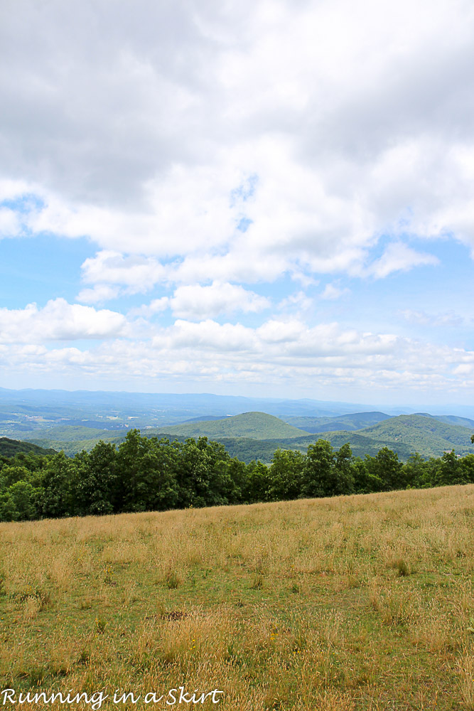 Bearwallow Mountain Summer Hike- Western North Carolina Hiking