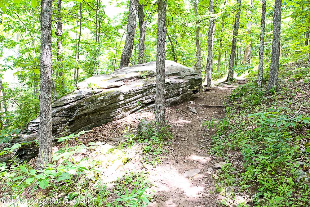 Bearwallow Mountain Summer Hike- Western North Carolina Hiking
