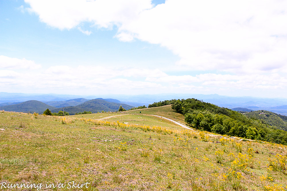 Bearwallow Mountain Summer Hike- Western North Carolina Hiking